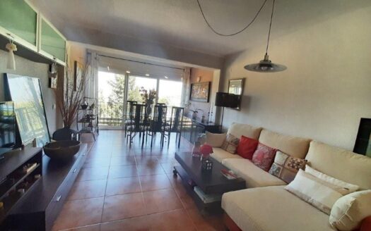 Apartment Albir