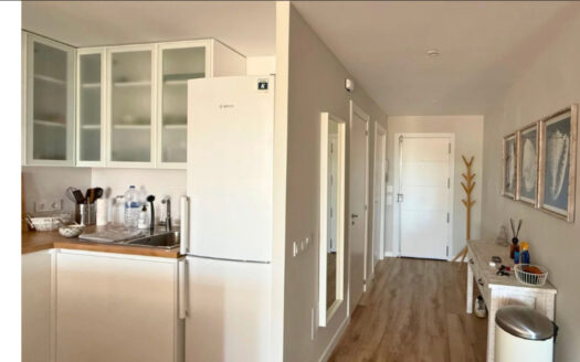 APARTMENT PALMA