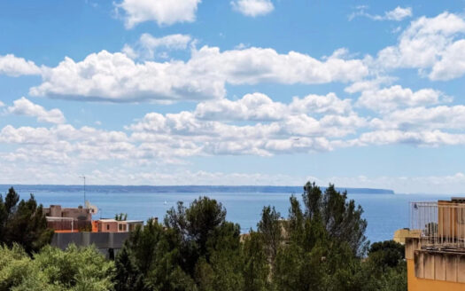 APARTMENT PALMA